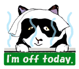 The funny stray cat (English version) sticker #3117401