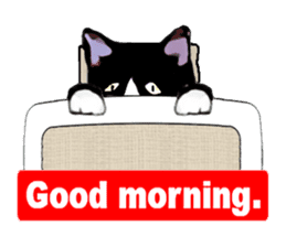 The funny stray cat (English version) sticker #3117404