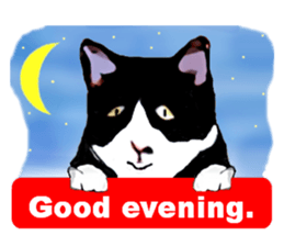 The funny stray cat (English version) sticker #3117405