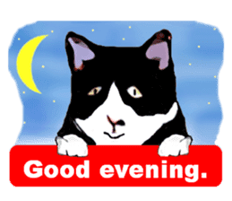 The funny stray cat (English version) sticker #3117405