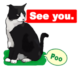 The funny stray cat (English version) sticker #3117408