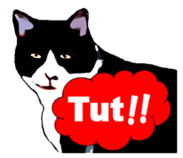 The funny stray cat (English version) sticker #3117409