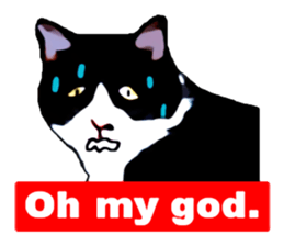 The funny stray cat (English version) sticker #3117410