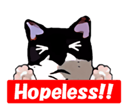 The funny stray cat (English version) sticker #3117413