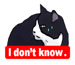 The funny stray cat (English version) sticker #3117422