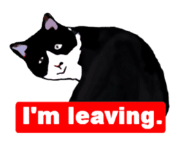 The funny stray cat (English version) sticker #3117423