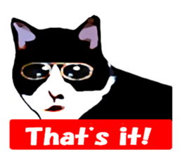 The funny stray cat (English version) sticker #3117425