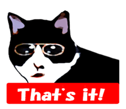 The funny stray cat (English version) sticker #3117425