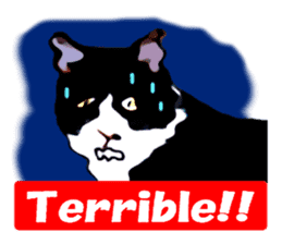 The funny stray cat (English version) sticker #3117426