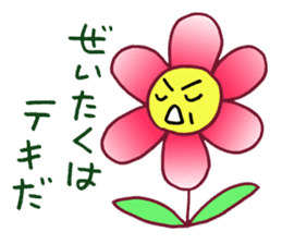 FlowerPapa sticker #3117510