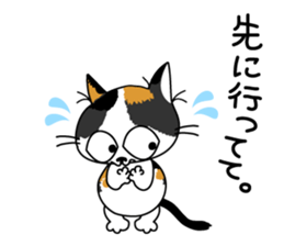 Communication of the cat / Waiting sticker #3118123