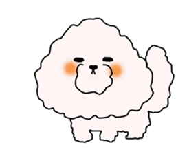 He is Bichon. sticker #3119267