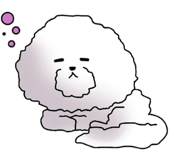 He is Bichon. sticker #3119268