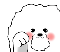 He is Bichon. sticker #3119278