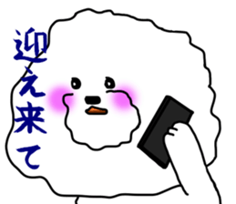 He is Bichon. sticker #3119281