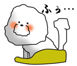 He is Bichon. sticker #3119284