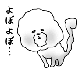 He is Bichon. sticker #3119289