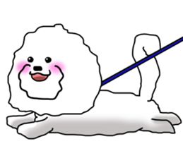He is Bichon. sticker #3119291