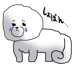 He is Bichon. sticker #3119293
