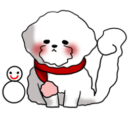 He is Bichon. sticker #3119295