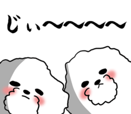 He is Bichon. sticker #3119297