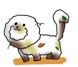 He is Bichon. sticker #3119300