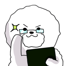 He is Bichon. sticker #3119303