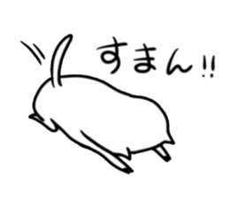 Feretta of ferrets. sticker #3120039