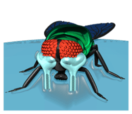 HAENOSUKE of a fly empire army sticker #3121712