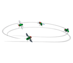 HAENOSUKE of a fly empire army sticker #3121724