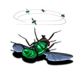 HAENOSUKE of a fly empire army sticker #3121725