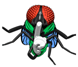 HAENOSUKE of a fly empire army sticker #3121731