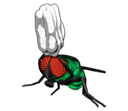 HAENOSUKE of a fly empire army sticker #3121735