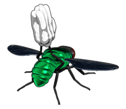 HAENOSUKE of a fly empire army sticker #3121736