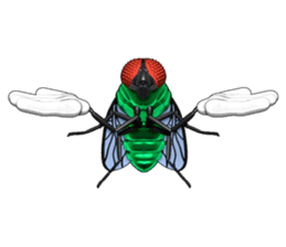 HAENOSUKE of a fly empire army sticker #3121737