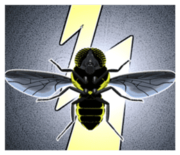 HAENOSUKE of a fly empire army sticker #3121739