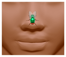 HAENOSUKE of a fly empire army sticker #3121743