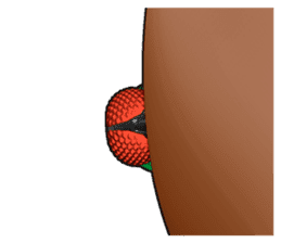 HAENOSUKE of a fly empire army sticker #3121746