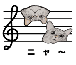Music of dogs and Cats. sticker #3123387