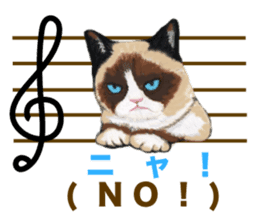Music of dogs and Cats. sticker #3123391