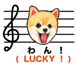 Music of dogs and Cats. sticker #3123392