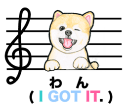Music of dogs and Cats. sticker #3123394