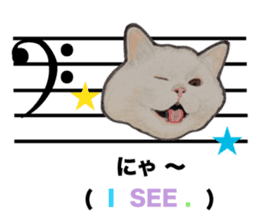 Music of dogs and Cats. sticker #3123399