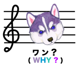 Music of dogs and Cats. sticker #3123404