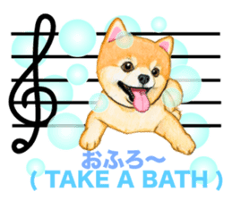 Music of dogs and Cats. sticker #3123418