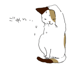 Katyusha of the tortoiseshell cat sticker #3124389