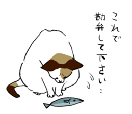 Katyusha of the tortoiseshell cat sticker #3124390