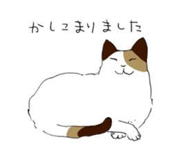 Katyusha of the tortoiseshell cat sticker #3124391