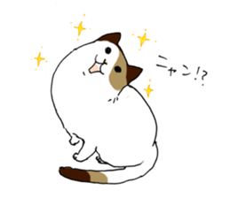 Katyusha of the tortoiseshell cat sticker #3124392