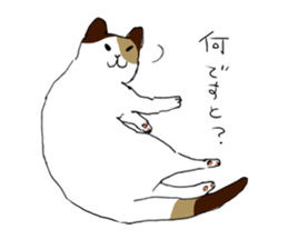 Katyusha of the tortoiseshell cat sticker #3124393